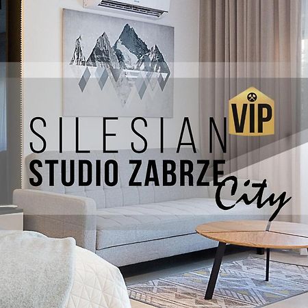 Studio Silesian Vip City Centrum Free Parking Забже Екстериор снимка
